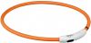 Trixie Flash Light Ring Oranje Hondenveiligheidslampje Ø 7 mm Oranje L-Xl online kopen